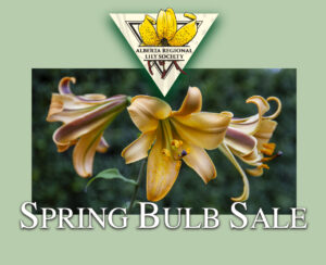 Spring Bulb Sale @ Central Lion Senior Centre | Edmonton | Alberta | Canada